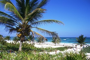 Leiebil Cancun
